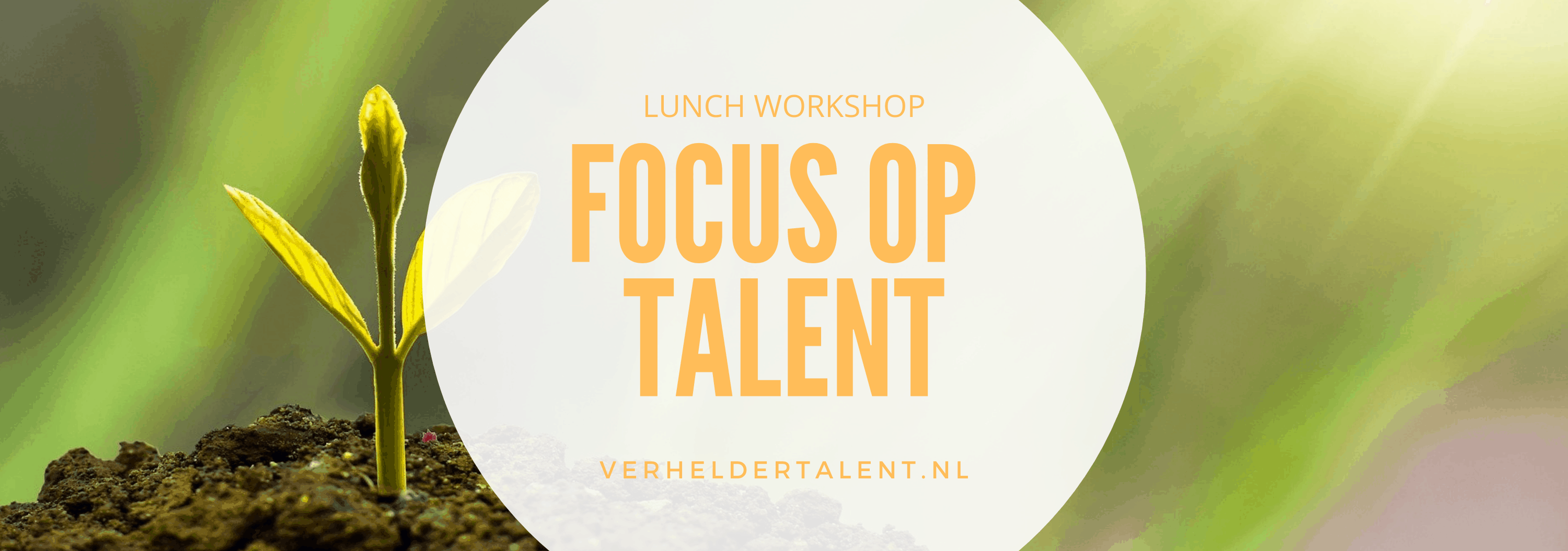 Lunch workshop focus op talent